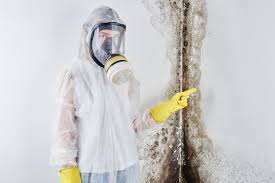 Environmental Consulting for Mold Prevention in Whittingham, NJ